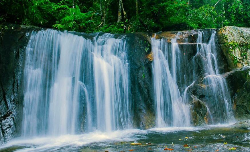 Du lịch Đa Mi